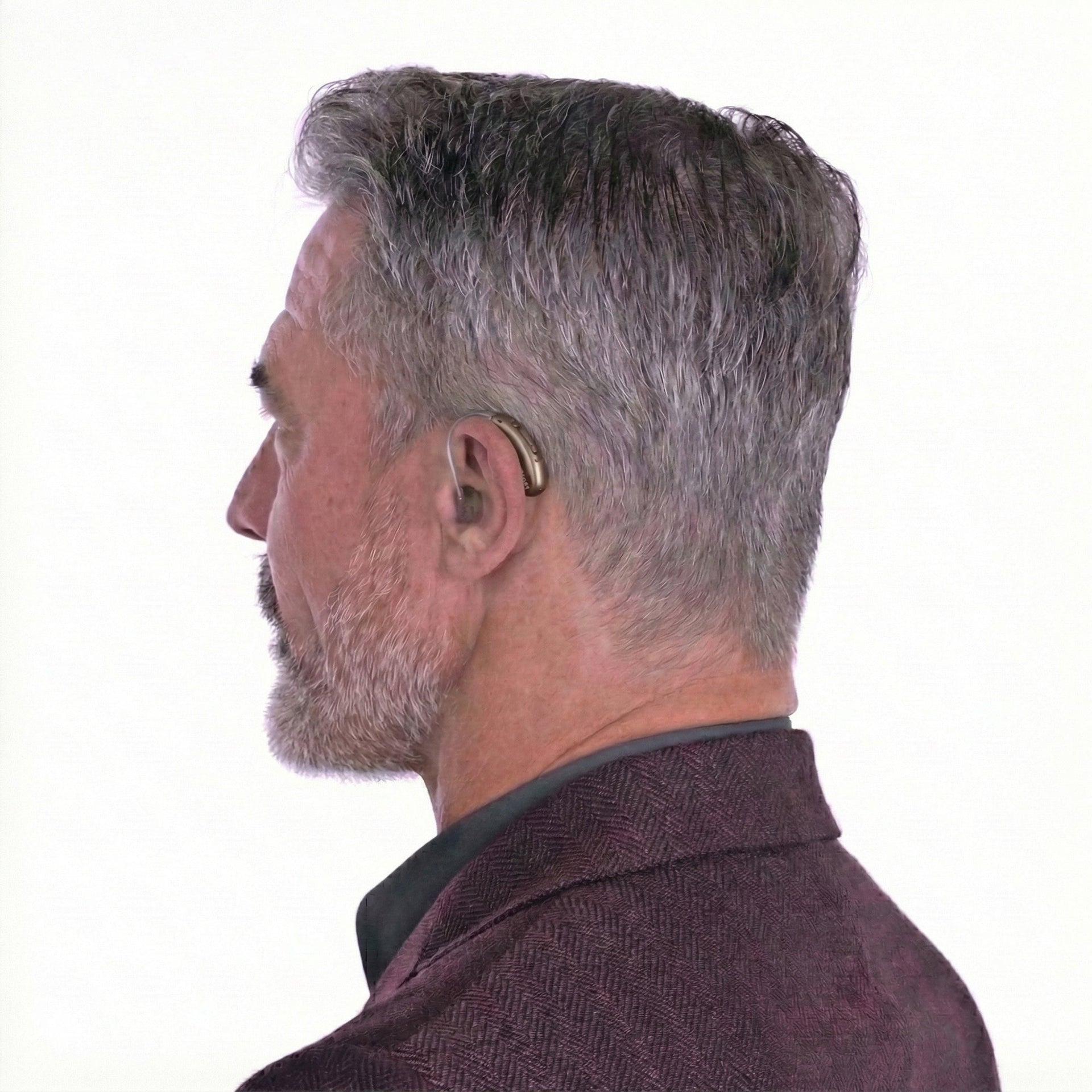 Phonak Audéo R Infinio I90 Hearing Aids - Chestnut
