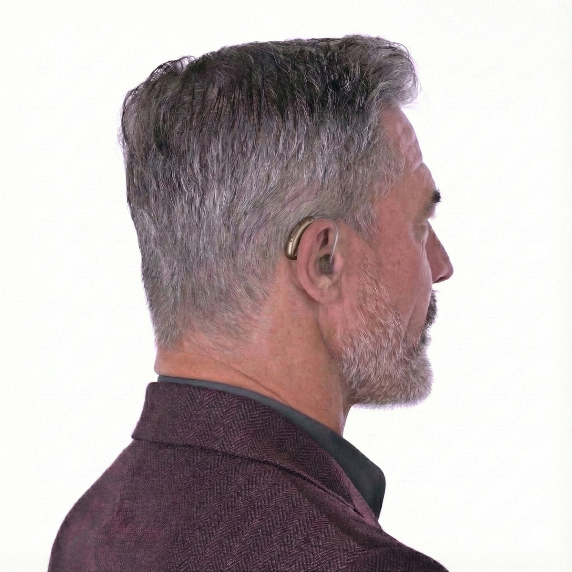 Phonak Audéo R Infinio I90 Hearing Aids - Chestnut